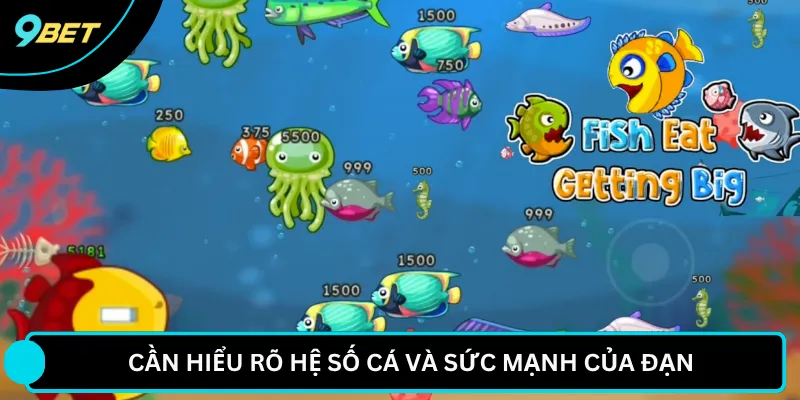 Cần hiểu rõ hệ số cá và sức mạnh của đạn