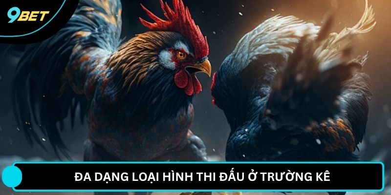 Đa dạng loại hình thi đấu ở trường kê