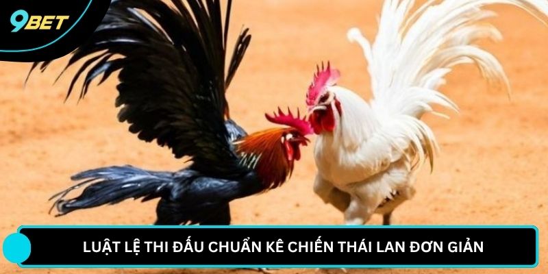 Luật lệ thi đấu chuẩn kê chiến Thái Lan đơn giản